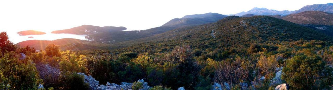 Villa Feral Molunat Bagian luar foto
